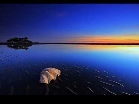 DJ San ft. Wendel Kos Kiss Of Life-With lyrics (Short Version) HQ