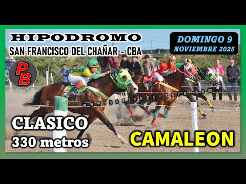 CAMALEON: HIPODROMO SAN FRANCISCO DEL CHAÑAR - CORDOBA (09-11-2025)