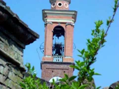 2009-05: Campane a distesa pavesi