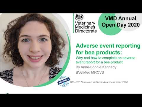 Bee products: adverse event reporting