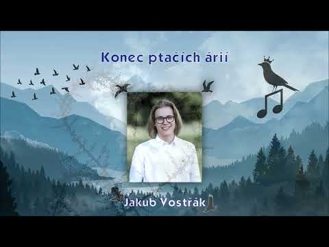 Jakub Vostřák - Konec ptačích árií - COVER