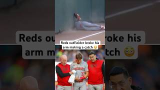 Tyler Callihan broke his arm making this catch, that was sadly did not count 😭 #baseball #mlb #reds
