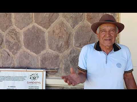 MENSAJES DE LOS ANIMALES @ "PAJARO AGUIRRE "ALEMANIA"GUACHIPAS SALTA ARGENTINA