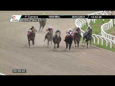 210326 c01 - SUPERIOR AVE - HIPODROMO LAS PIEDRAS