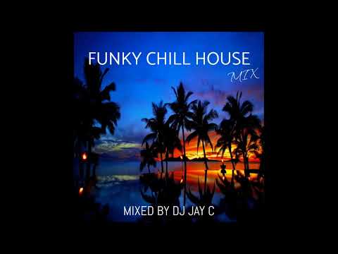Funky Chill House Mix | One Hour Greatest Chill House Remixes