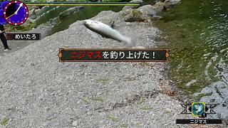 【実写】ニジマスの納品クエスト　【リアルでクエスト】