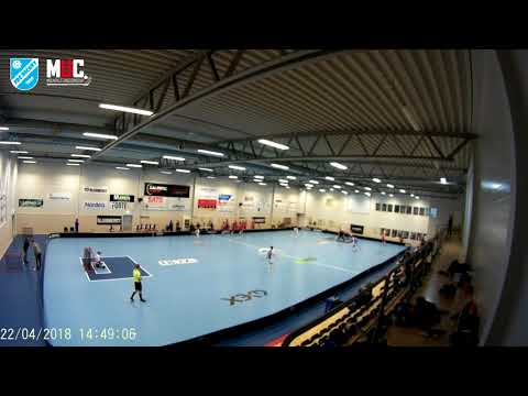 Švédsko 22.4.2017 P01 B Finále: FBC Draci Říčany x FBC Lerum FBC Lerum P01 3:6