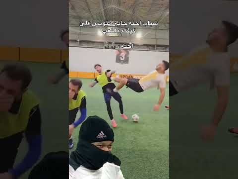 هاي شني
