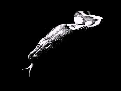 Ingravity Sense - Black Mamba