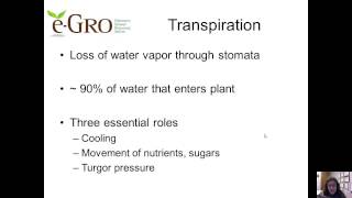 Basics Plant Growth Development