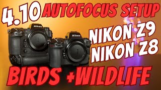 Nikon Z8 and Z9 - 4.10 Autofocus Setup and Button Layout for Bird and Wildlife Photography