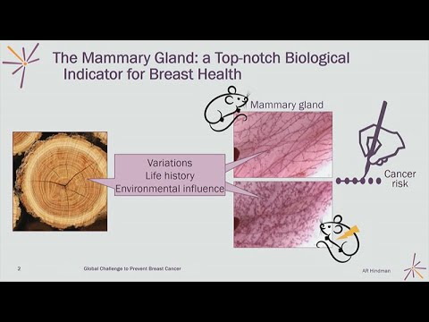 Keeping Abreast of Prevention in Chemical Safety Testing