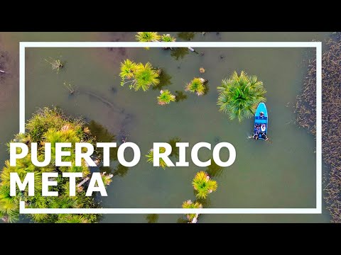 PUERTO RICO META COLOMBIA l El mundo de Bray