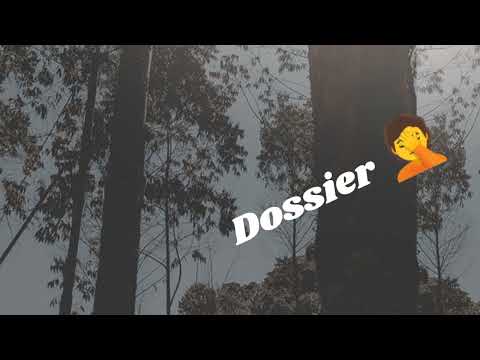 HADJI BOY DOSSIER (LYRICS VIDÉO)