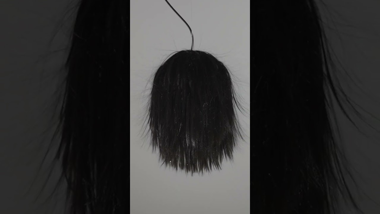 VISTA Opening Festival