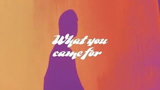 What You Came For Music Video