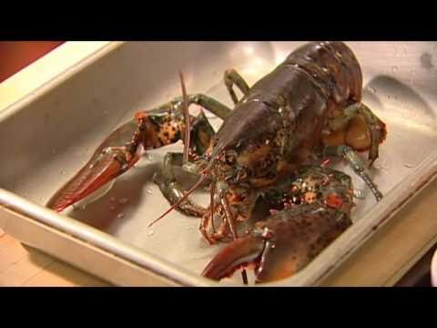 Chef Andrew King prepara risoto de lagosta no Restaurante da Maurizio