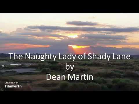 The Naughty Lady Of Shady Lane - Dean Martin