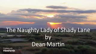 Dean Martin - The Naughty Lady of Shady Lane