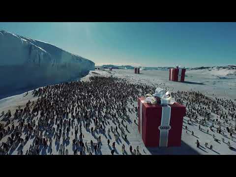 Buone Feste da Coop!