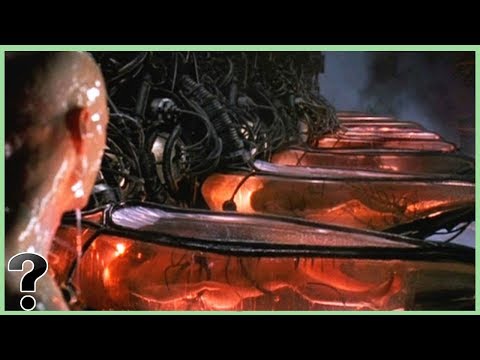 What If The SCP – 2000 Was Real?