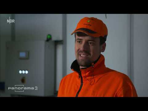 Panorama - Plastikmüll: Probleme mit dem gelben Sack