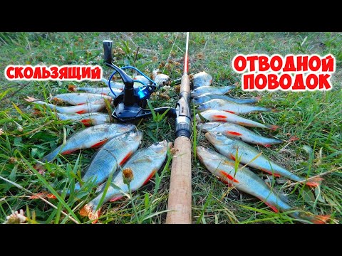 🇺🇦Монтаж скользящий ОТВОДНОЙ ПОВОДОК для ловли окуня и судака