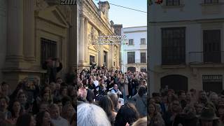Pero mira como beben los peces en el río 🎶👏 • #flamenco24h