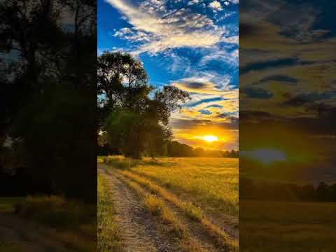 Ce este smerenia?  - pildă