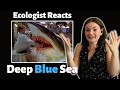 Shark Scientist Reacts to Deep Blue Sea