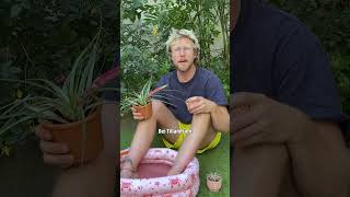 Pflanzenbad #Shorts