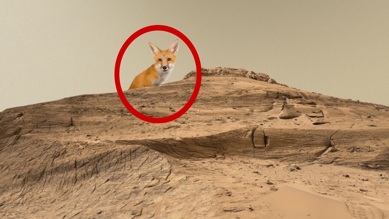 Mars rover sent New 4k video footage of mars sol 361 ll Mars perseverance rover ll Mars 4k video