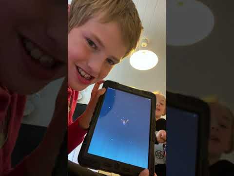 Jeg smager surt slik med kamp hund