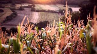 The Day After - Contingency