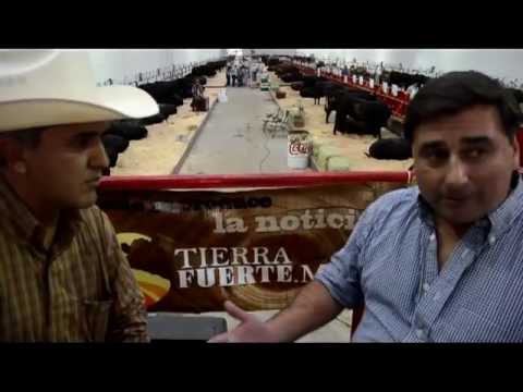 Entrevista exclusiva con juzgador internacional de la raza Angus, Carlos Ojea Rullan.