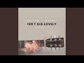 Isn T She Lovely Acoustic