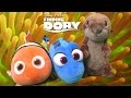 Finding Dory Jumbo Plush Dory Nemo Sea Otter From Bandai