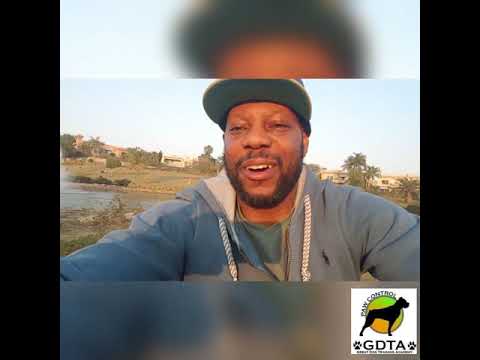 Help Damayan rehab & train stray dogs of Egypt!!!