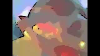 Pj Harvey &amp; Josh Homme there will never be a better time (cover)