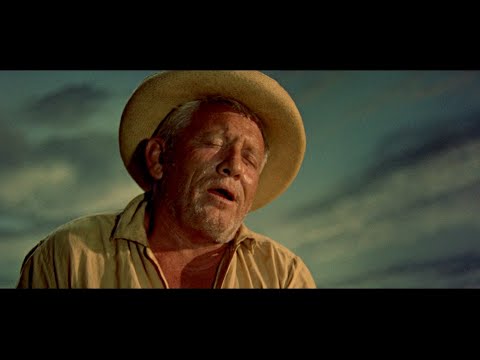 Le Grand Détournement La Classe américaine HD : le témoin professionnel