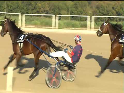 Trotto 21/09/2019 - 7ª corsa