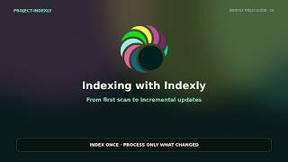 Indexing with Indexly: First Scan to Incremental Updates