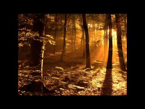 Renata Kos - Na rastanku (lyrics)