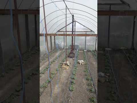 Испытания камеры с я DOOGEE Y7