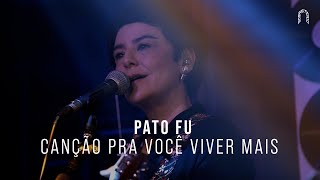 Pato Fu - Canção Pra Você Viver Mais | Sonastério ilumina