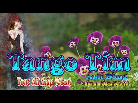 karaoke Tango Tím, sáng tác Anh Bằng, hòa âm Đoàn Đức Tú, giọng Nữ thấp