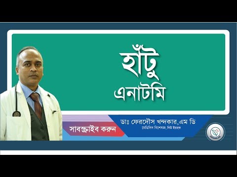 হাটু:: স্বাভাবিক গঠন