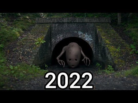 Evolution of Bridge Worm