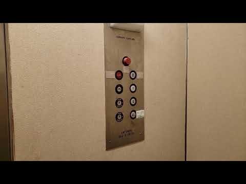 Vintage Lardner Hydraulic Elevator @ 31333 Southfield Road, Beverly Hills, MI