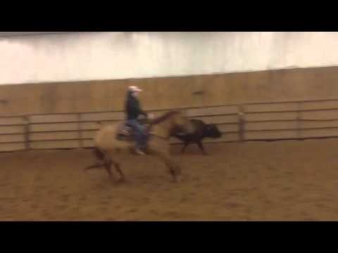 LRRA Twist Of Rooster working buffalo, Lisagerri greedy. For fence work!&